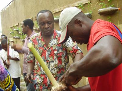  image linking to Training in urban community agriculture in Cameroon